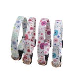 首輪 カラー 小型犬 | PlusNao | 詳細画像2 