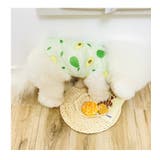 ドッグウェア 犬服 タンクトップ | PlusNao | 詳細画像11 