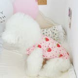 ドッグウェア 犬服 タンクトップ | PlusNao | 詳細画像5 