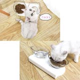 食器台 食器 ペット用品 | PlusNao | 詳細画像4 