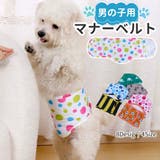 マナーベルト 男の用 オス用 | PlusNao | 詳細画像1
