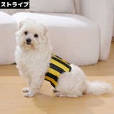 マナーベルト 男の用 オス用 | PlusNao | 詳細画像10