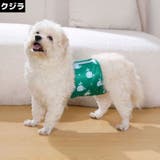 マナーベルト 男の用 オス用 | PlusNao | 詳細画像14