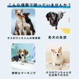マナーベルト 男の用 オス用 | PlusNao | 詳細画像3