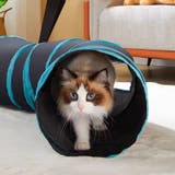 猫用おもちゃ キャットトンネル トンネル型 | PlusNao | 詳細画像4