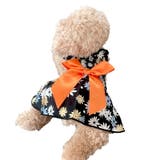 ペット用ワンピース イヌ用ワンピース ドッグウェア | PlusNao | 詳細画像3 