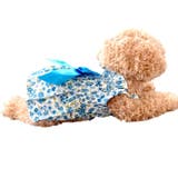 ペット用ワンピース イヌ用ワンピース ドッグウェア | PlusNao | 詳細画像6 