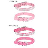 ペット用首輪 カラー ベルトタイプ | PlusNao | 詳細画像16