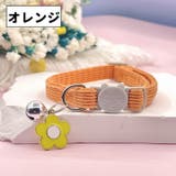 ネコ用首輪 ネコ首輪 猫用首輪 | PlusNao | 詳細画像17 
