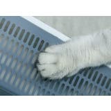 猫用トイレ トイレ容器 砂トイレ | PlusNao | 詳細画像14