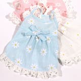 ドッグウェア キャミソールワンピース ペット服 | PlusNao | 詳細画像13 