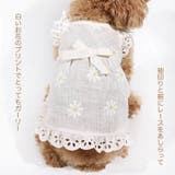 ドッグウェア キャミソールワンピース ペット服 | PlusNao | 詳細画像2 