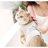 猫用 ハーネス リード | PlusNao | 詳細画像3 