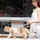 猫用 ハーネス リード | PlusNao | 詳細画像4 