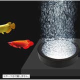 エアストーン 水槽用 エアレーション | PlusNao | 詳細画像2 