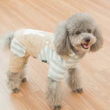 ペットウェア ペット服 犬服 | PlusNao | 詳細画像10 
