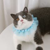 ペット用チョーカー 猫用 犬用 | PlusNao | 詳細画像4