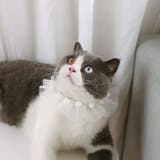 ペット用チョーカー 猫用 犬用 | PlusNao | 詳細画像5