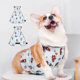 犬用泥よけエプロン レインウェア コーギー | PlusNao | 詳細画像2 