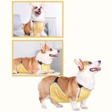 犬用泥よけエプロン レインウェア コーギー | PlusNao | 詳細画像5 