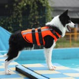 犬用ライフジャケット 犬服 犬用ウェア | PlusNao | 詳細画像2