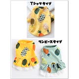 ペット用ワンピース ペット用カットソー ペット用Tシャツ | PlusNao | 詳細画像15