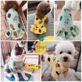 ペット用ワンピース ペット用カットソー ペット用Tシャツ | PlusNao | 詳細画像3