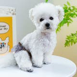 犬用 サニタリーパンツ マナーパンツ | PlusNao | 詳細画像2 