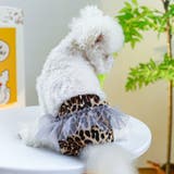 犬用 サニタリーパンツ マナーパンツ | PlusNao | 詳細画像3 