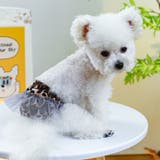 犬用 サニタリーパンツ マナーパンツ | PlusNao | 詳細画像5 