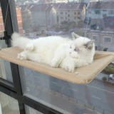 猫用ハンモック キャットハンモック 窓付けハンモック | PlusNao | 詳細画像3