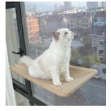 猫用ハンモック キャットハンモック 窓付けハンモック | PlusNao | 詳細画像4