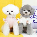 ドッグウェア ペットウェア カットソー | PlusNao | 詳細画像3