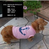 犬服 ドッグウェア ペットウェア | PlusNao | 詳細画像2