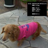 犬服 ドッグウェア ペットウェア | PlusNao | 詳細画像3