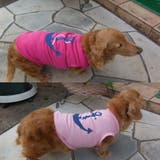 犬服 ドッグウェア ペットウェア | PlusNao | 詳細画像4
