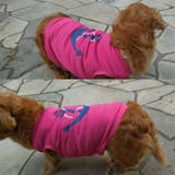 犬服 ドッグウェア ペットウェア | PlusNao | 詳細画像7