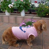 犬服 ドッグウェア ペットウェア | PlusNao | 詳細画像9