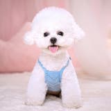 ペットウェア キャミソール 犬服 | PlusNao | 詳細画像2 