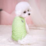 ペットウェア キャミソール 犬服 | PlusNao | 詳細画像5 