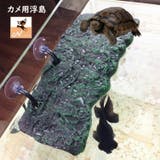 浮島 亀用 トカゲ | PlusNao | 詳細画像1