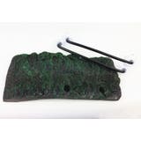 浮島 亀用 トカゲ | PlusNao | 詳細画像2