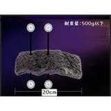 浮島 亀用 トカゲ | PlusNao | 詳細画像3