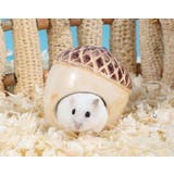 ハムスターハウス ハムスター用ハウス ネズミ | PlusNao | 詳細画像6 