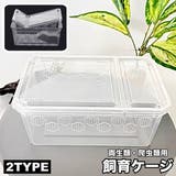 飼育ケージ 飼育ケース 両生類用 | PlusNao | 詳細画像1 