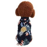 ドッグウエア ペットウエア 犬の服 | PlusNao | 詳細画像3