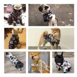 ドッグウエア ペットウエア 犬の服 | PlusNao | 詳細画像4