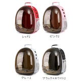 猫用キャリーバッグ リュックキャリー ペットキャリー | PlusNao | 詳細画像16