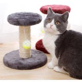 キャットタワー 猫用おもちゃ ペット用品 | PlusNao | 詳細画像3 