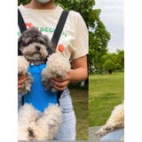 ペット用キャリーバッグ 抱っこ紐 リュックタイプ | PlusNao | 詳細画像3 